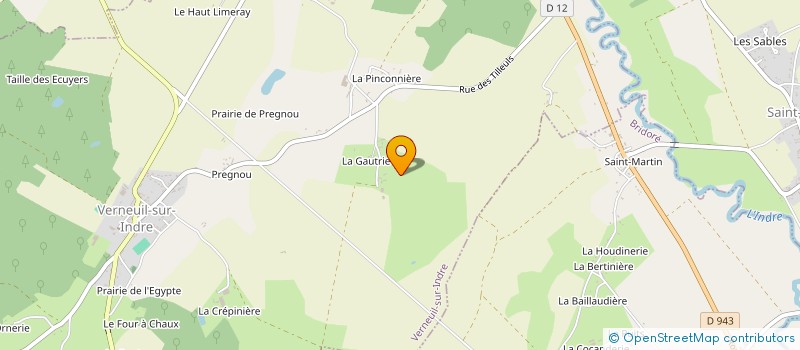localisation de l'entreprise MADAME MYLENE QUINIO à VERNEUIL-SUR-INDRE