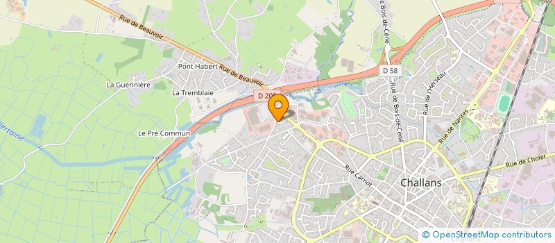 localisation de l'entreprise MADAME MYRIAM BESSEAU à CHALLANS