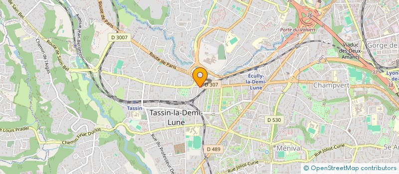 localisation de l'entreprise MADAME MYRIAM DIALLO  TASSIN-LA-DEMI-LUNE