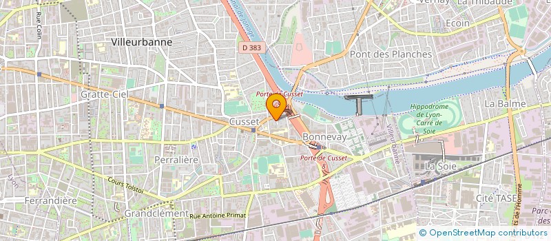 localisation de l'entreprise MADAME MYRIAM ERGUELEC  VILLEURBANNE