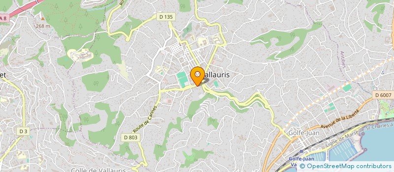 localisation de l'entreprise MADAME MYRIAM HAEMISCH à VALLAURIS