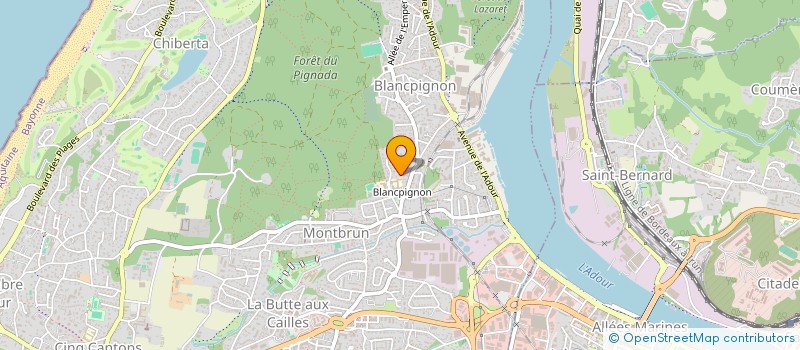 localisation de l'entreprise MADAME MYRIAM LIEPMANNSSOHN  ANGLET