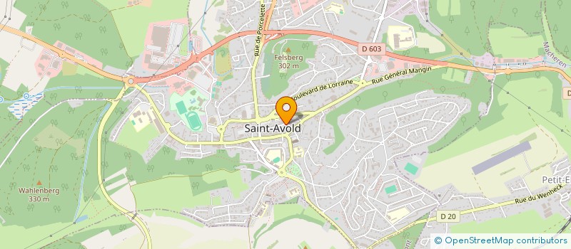 localisation de l'entreprise MADAME MYRIAM MICHEL  SAINT-AVOLD
