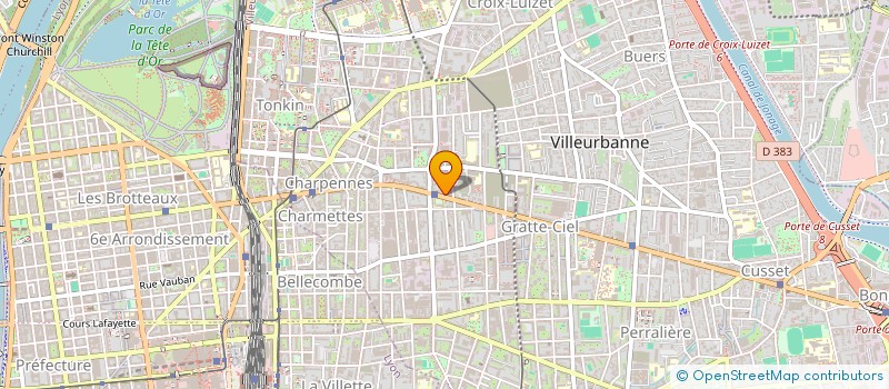 localisation de l'entreprise MADAME MYRIAM NISSAS  VILLEURBANNE