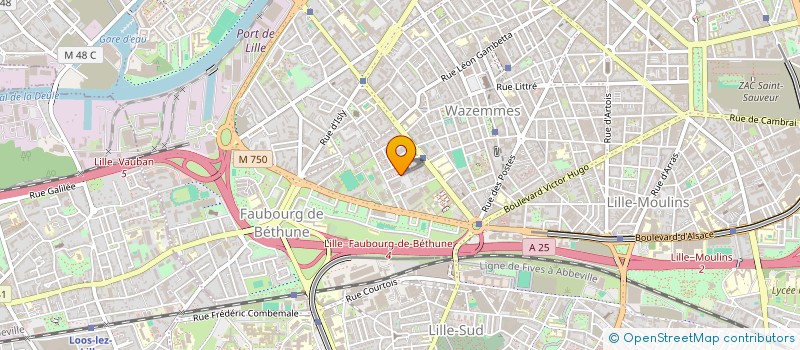 localisation de l'entreprise MADAME MYRIAM PLAINEMAISON à LILLE