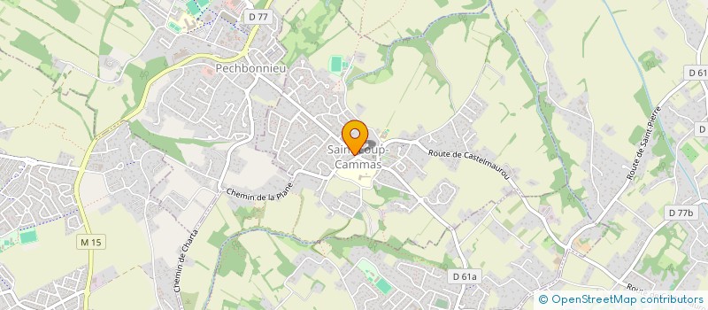 localisation de l'entreprise MADAME MYRIAM RIGO  SAINT-LOUP-CAMMAS