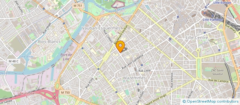 localisation de l'entreprise MADAME MYRIAM SKALLI à LILLE
