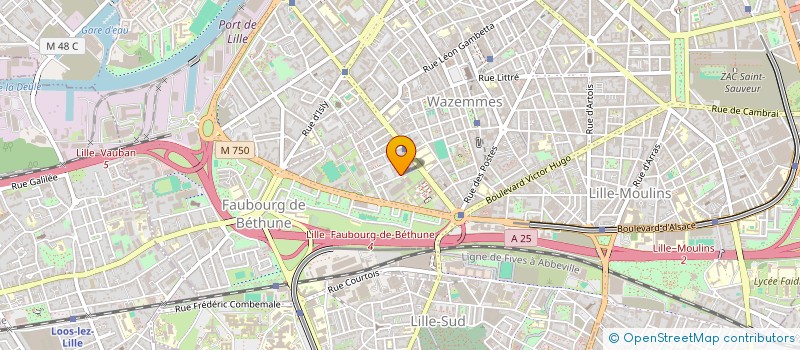 localisation de l'entreprise MADAME NABILA EZ ZARRAD  LILLE