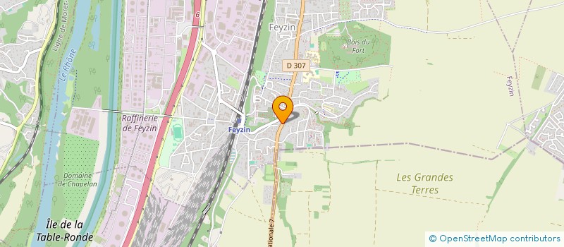 localisation de l'entreprise MADAME NACERA BADRI  FEYZIN