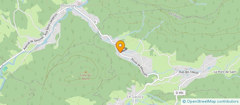 localisation de l'entreprise MADAME NADEGE AUBRIAT  LA PETITE-RAON