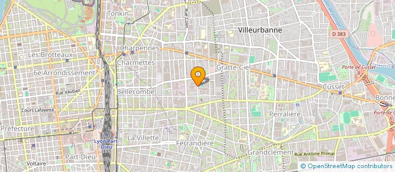 localisation de l'entreprise MADAME NADEGE BERAUD  VILLEURBANNE