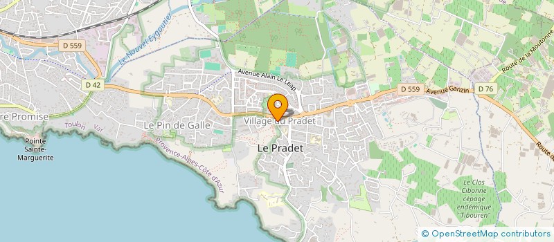 localisation de l'entreprise MADAME NADEGE BERRUT  LE PRADET