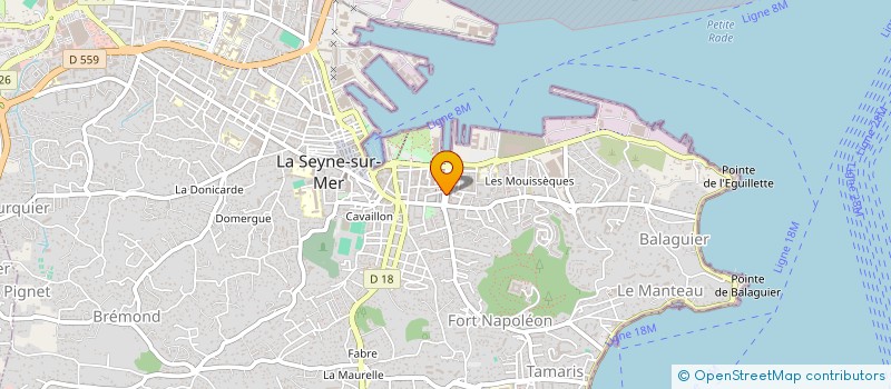 localisation de l'entreprise MADAME NADEGE CHICHERY  LA SEYNE-SUR-MER