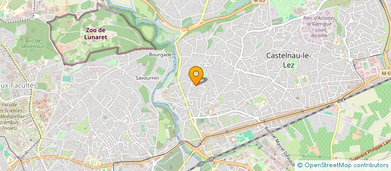 localisation de l'entreprise MADAME NADEGE FERON à CASTELNAU-LE-LEZ