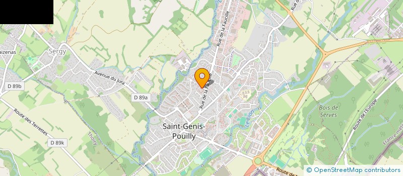 localisation de l'entreprise MADAME NADEGE SZYMCZAK à SAINT-GENIS-POUILLY