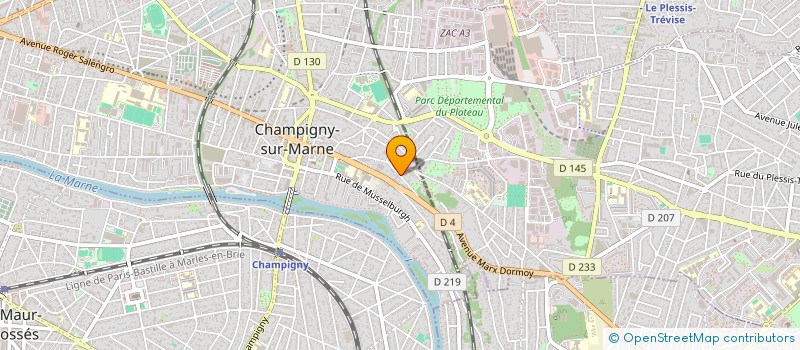 localisation de l'entreprise MADAME NADEIGE DAUVILLIER à CHAMPIGNY-SUR-MARNE