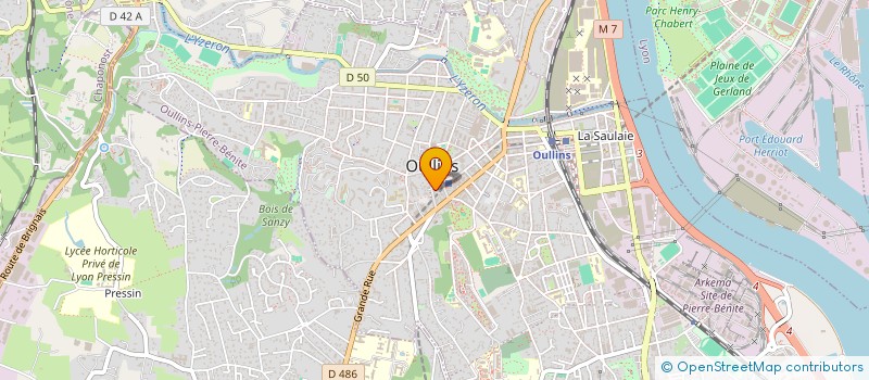 localisation de l'entreprise MADAME NADEZHDA SHEVCHUK  OULLINS-PIERRE-BENITE