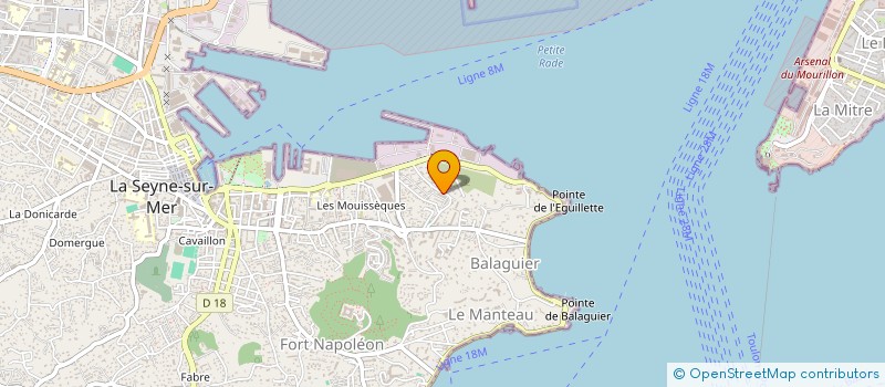 localisation de l'entreprise MADAME NADIA AMIRI à LA SEYNE-SUR-MER