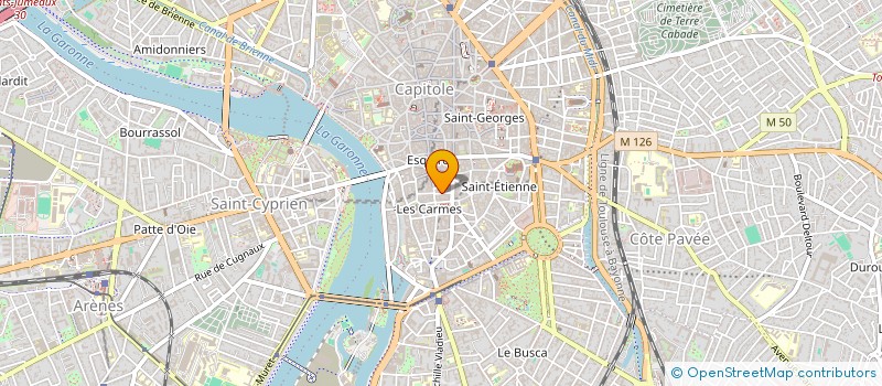 localisation de l'entreprise MADAME NADIA BENOSMAN  TOULOUSE