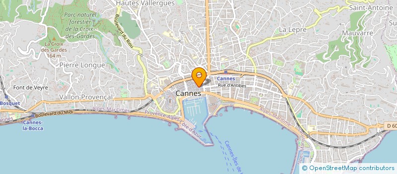 localisation de l'entreprise MADAME NADIA BERKOWTSCH  CANNES