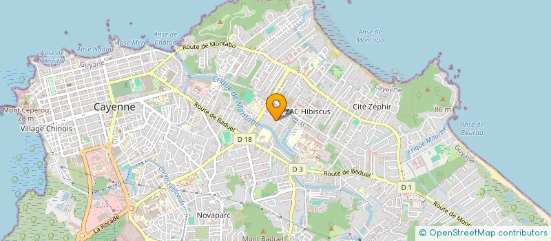 localisation de l'entreprise MADAME NADIA DIMANCHE  CAYENNE