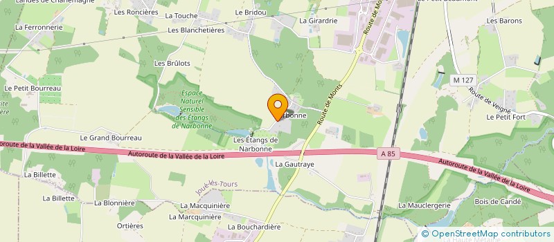 localisation de l'entreprise MADAME NADIA LUCAVEI  JOUE-LES-TOURS