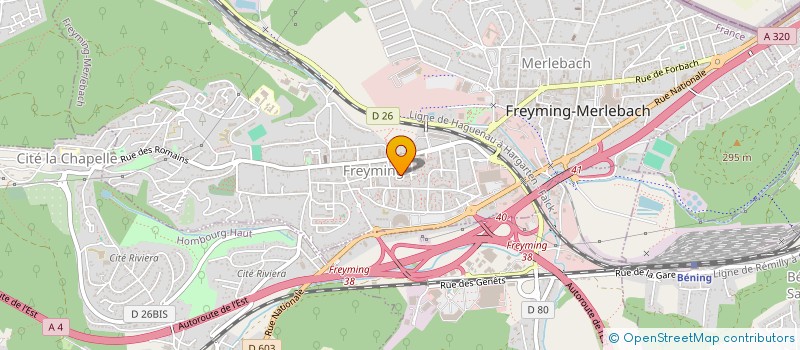 localisation de l'entreprise MADAME NADIA OUHDACHI  FREYMING-MERLEBACH