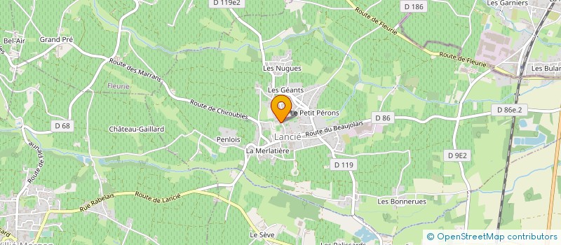 localisation de l'entreprise MADAME NADIA SAIHI  VILLEFRANCHE-SUR-SAONE