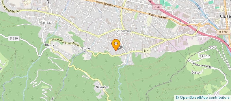 localisation de l'entreprise MADAME NADIA TOUMI  SCIONZIER