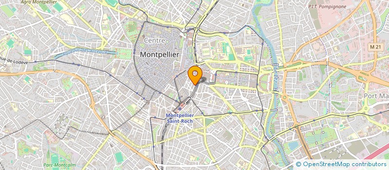 localisation de l'entreprise MADAME NADILLE FROGET à MONTPELLIER