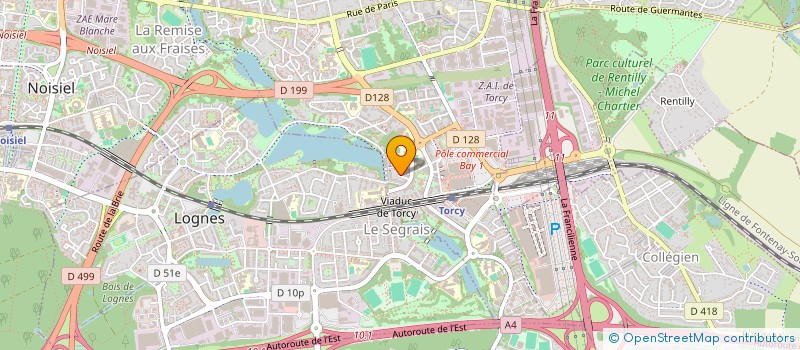 localisation de l'entreprise MADAME NADINE ANDRIEU  TORCY