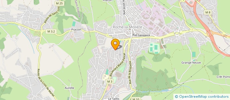 localisation de l'entreprise MADAME NADINE BAYT  ROCHE-LA-MOLIERE