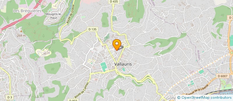 localisation de l'entreprise MADAME NADINE BELTRAMI à VALLAURIS