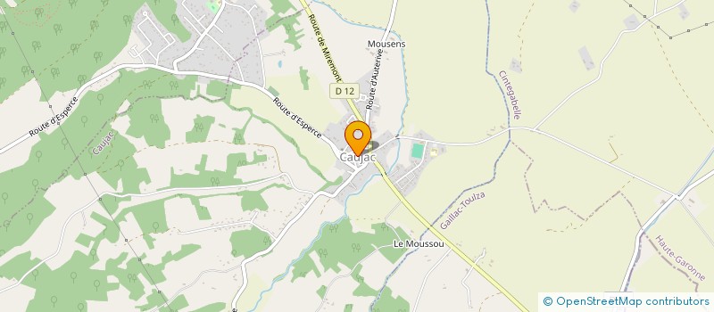 localisation de l'entreprise MADAME NADINE DEPAUTEX  CAUJAC