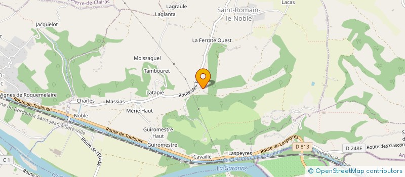 localisation de l'entreprise MADAME NADINE DUBEROS  SAINT ROMAIN LE NOBLE