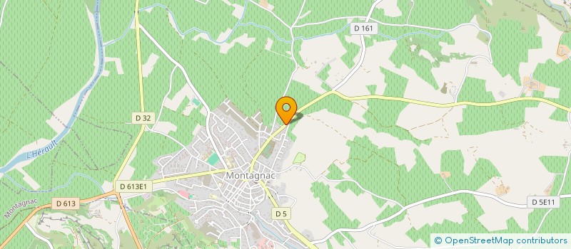 localisation de l'entreprise MADAME NADINE GUIRAO  MONTAGNAC