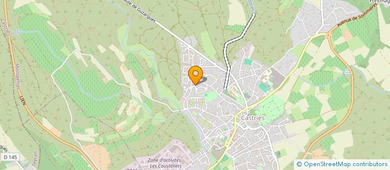 localisation de l'entreprise MADAME NADINE LAROCHE  CASTRIES