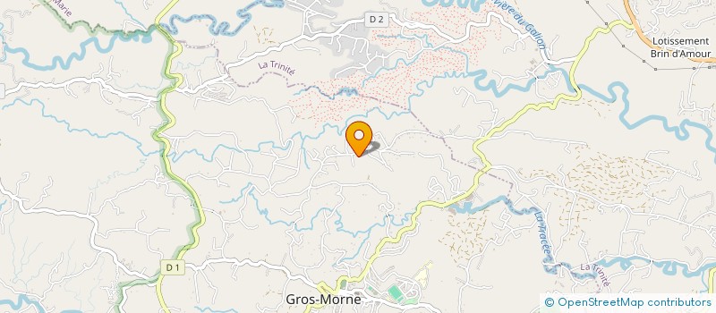 localisation de l'entreprise MADAME NADINE MELLOT  GROS-MORNE