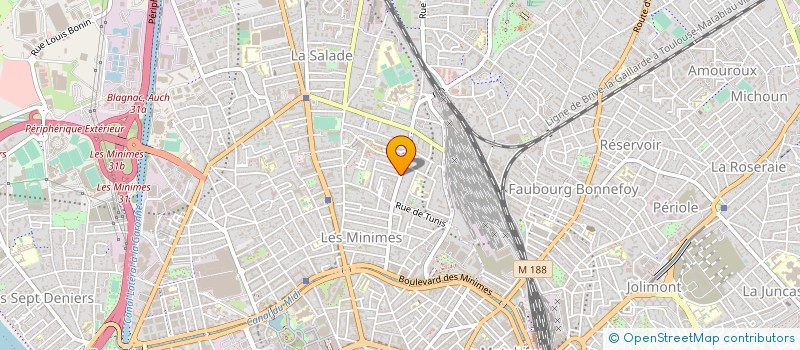 localisation de l'entreprise MADAME NADINE MILLAT  TOULOUSE