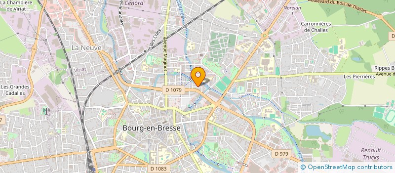 localisation de l'entreprise MADAME NADINE MOUHANNA  BOURG-EN-BRESSE