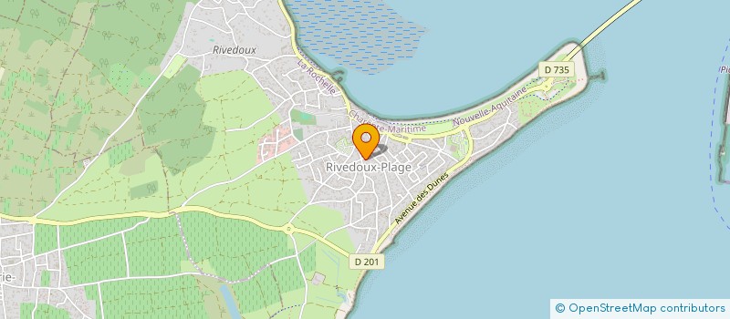 localisation de l'entreprise MADAME NADINE NICOLLEAU  RIVEDOUX-PLAGE