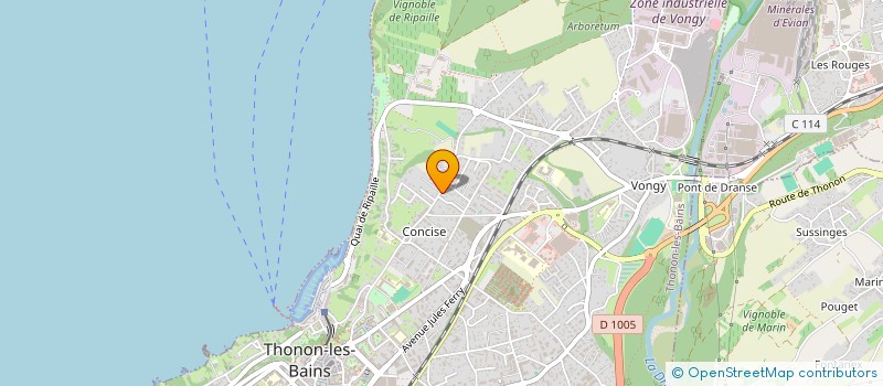 localisation de l'entreprise MADAME NADINE NKOULOU à THONON-LES-BAINS