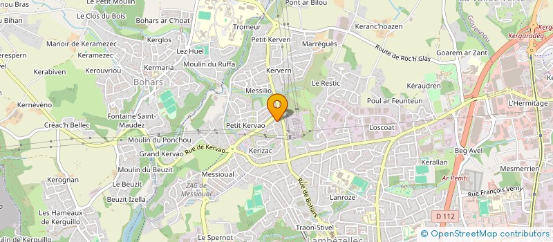 localisation de l'entreprise MADAME NADINE PERAN à BREST