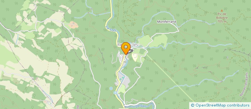 localisation de l'entreprise MADAME NADINE PINET  RENNES-LES-BAINS