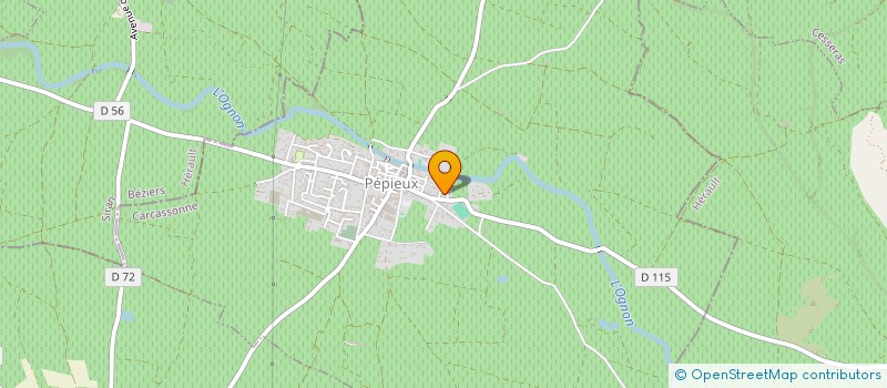 localisation de l'entreprise MADAME NADINE SANCHEZ  DOUZENS