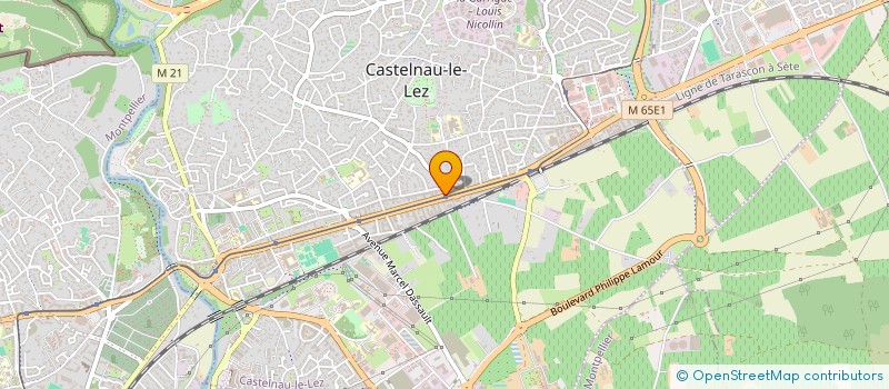 localisation de l'entreprise MADAME NADINE SEGOND à CASTELNAU-LE-LEZ