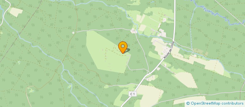 localisation de l'entreprise MADAME NADINE TREMOULET  VIELLE-SOUBIRAN