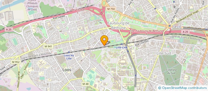 localisation de l'entreprise MADAME NADINE VOILLAT à LILLE