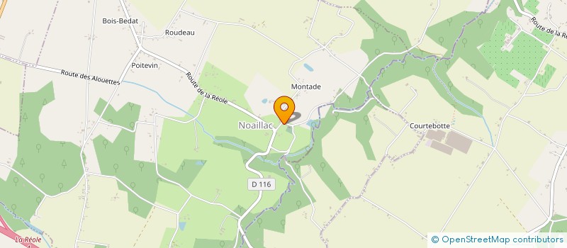 localisation de l'entreprise MADAME NADJIBA BABOU  BLAIGNAC