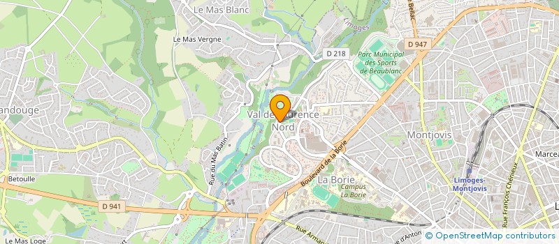 localisation de l'entreprise MADAME NADYA YANKOVA à LIMOGES